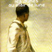 Les dunes au claire de lune